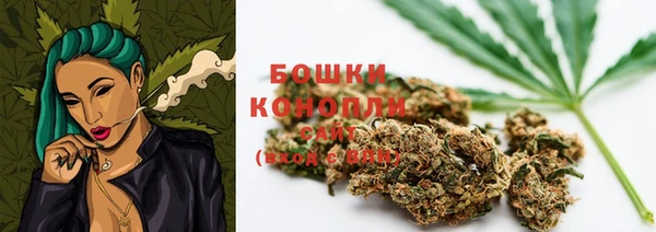 тгк Гусев