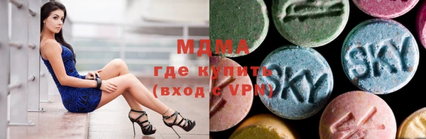 тгк Гусев