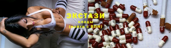 тгк Гусев