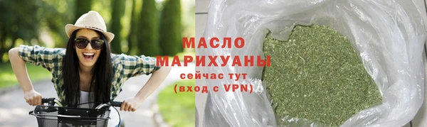 тгк Гусев
