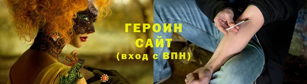 тгк Гусев