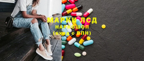 тгк Гусев