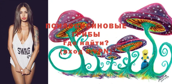 тгк Гусев