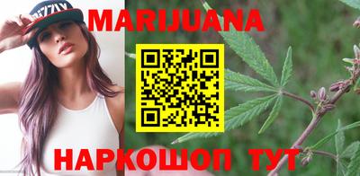 тгк Новодвинск