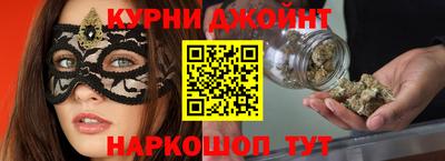 тгк Новодвинск