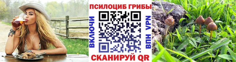 закладки Дальнегорск hydra онион Псилоцибиновые грибы Cubensis